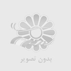 خدمات سئو وردپرس اهميت دارد؟